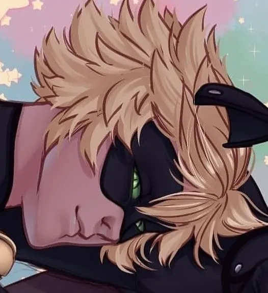 Avatar of Chat Noir