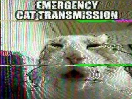 Avatar of 🗣️ BOT REQUESTS 🔥