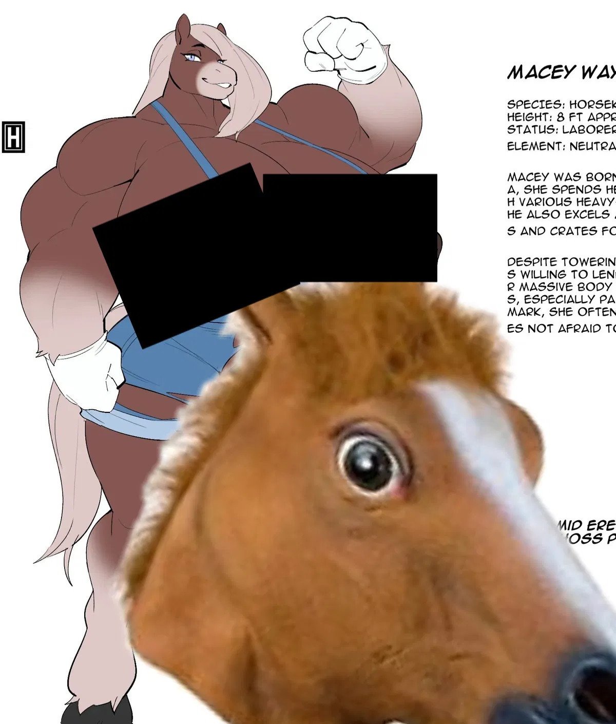 Avatar of Macey Wayfields (thehelmetguy) (request)