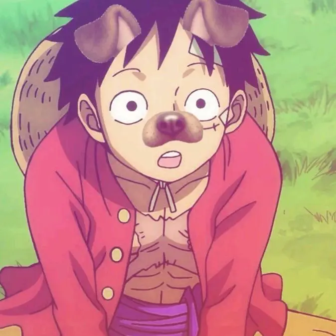 Avatar of Monkey D. Luffy