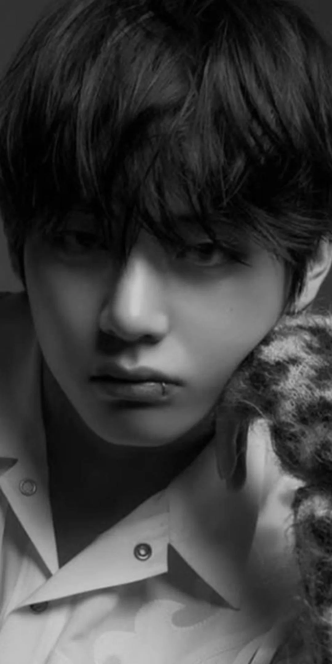 Avatar of Kim Taehyung 