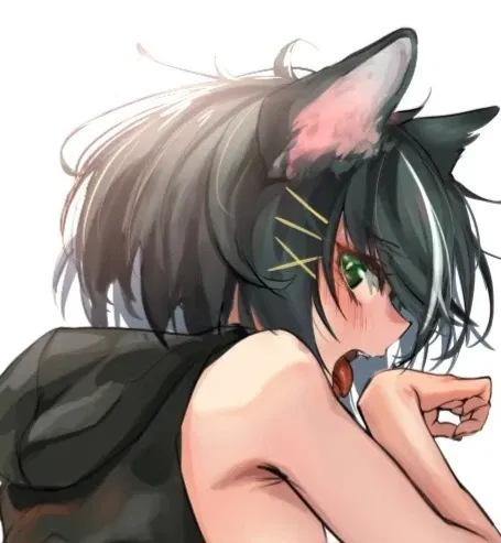 Avatar of Phil: street cat 