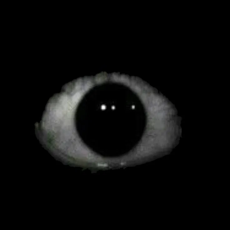 Avatar of Uzi ?