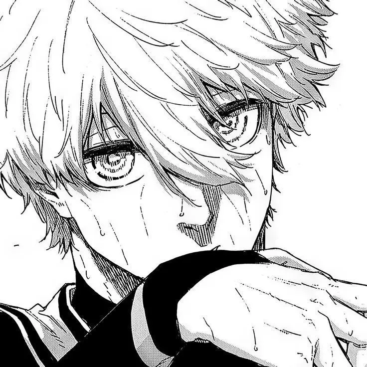 Avatar of Nagi Seishiro 