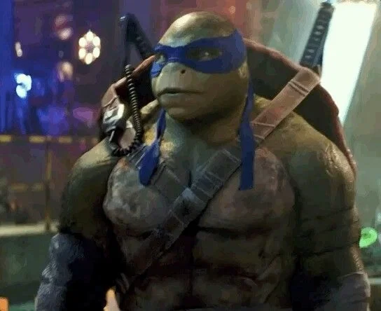 Avatar of Leonardo Hamato