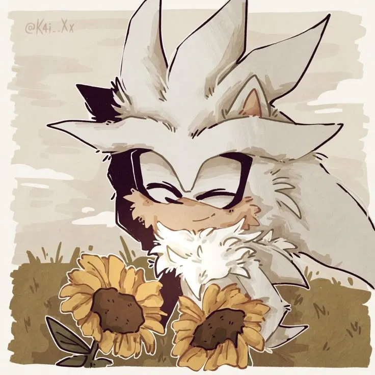 Avatar of Silver | Petsitter