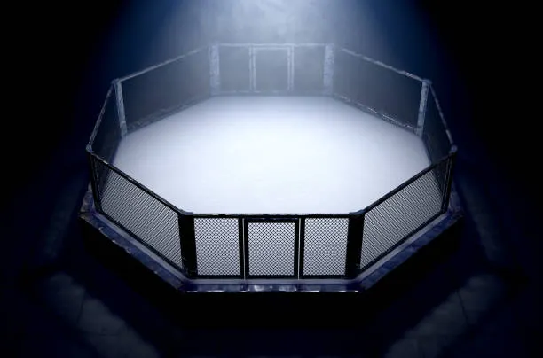Avatar of Iron Ground — MMA Career Simulator