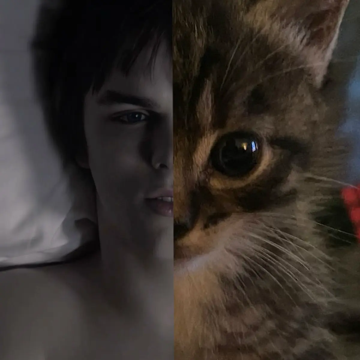 Avatar of Tony Stonem #skins