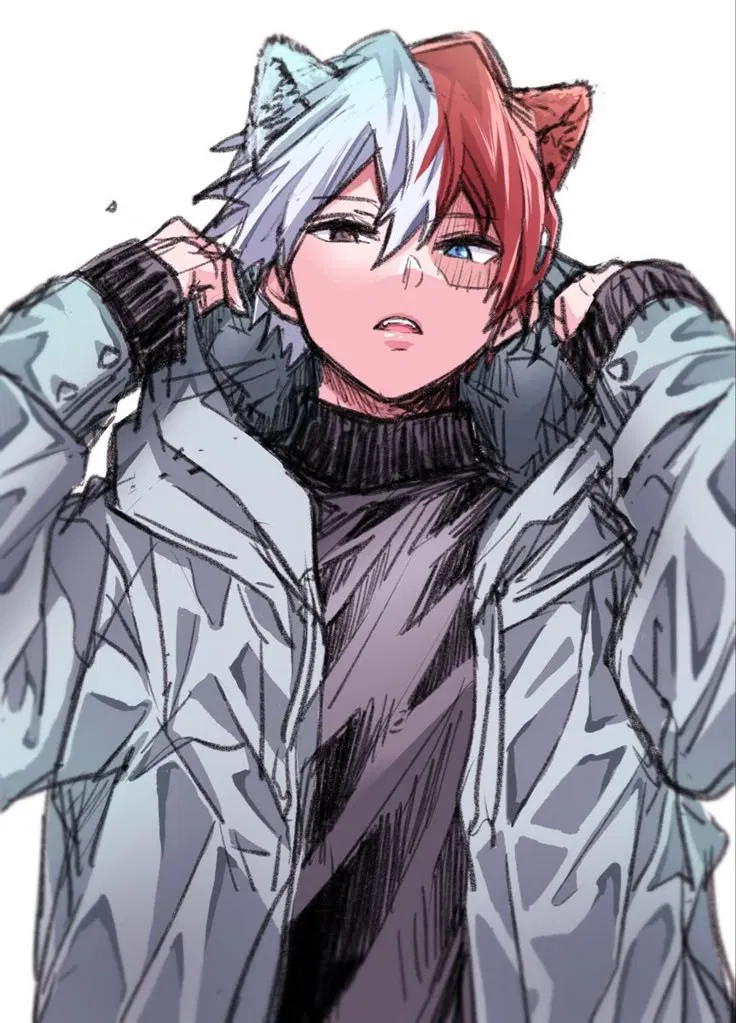 Avatar of Alpha Shoto Todoroki