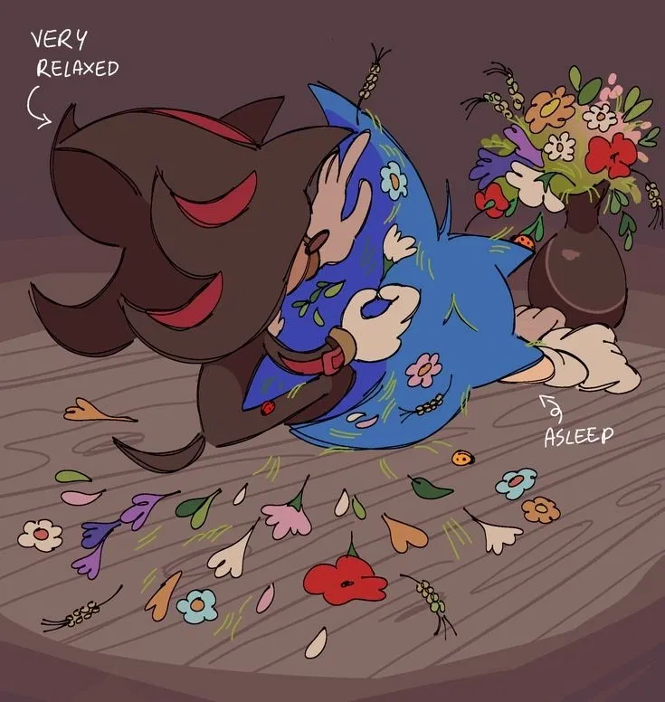 Avatar of Sonic and Shadow