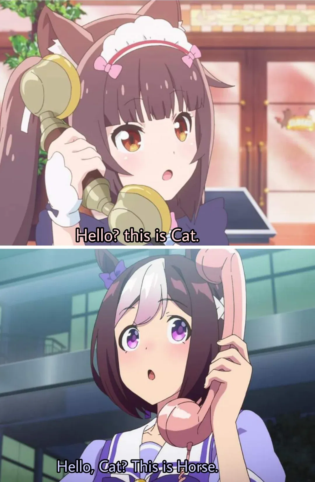 Avatar of UmaMusume ✖ NekoPara