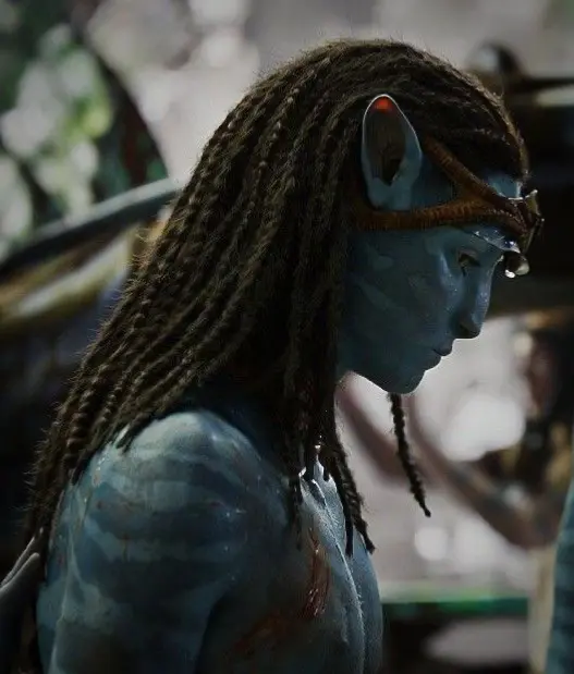Avatar of neteyam sully ✧