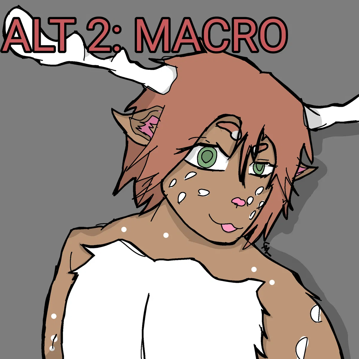 Avatar of Taiga || MicroPOV