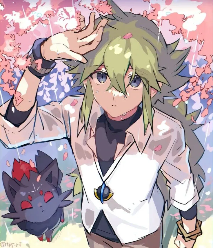 Avatar of N
