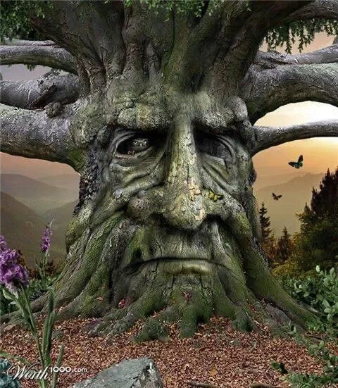 Avatar of Spring tree 