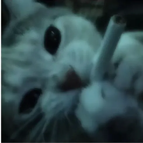 Avatar of COMMENT WHAT BOTS DO I MAKE 