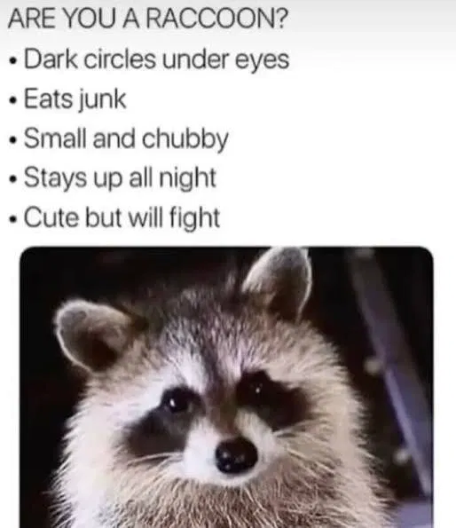 Avatar of Suggestion bot