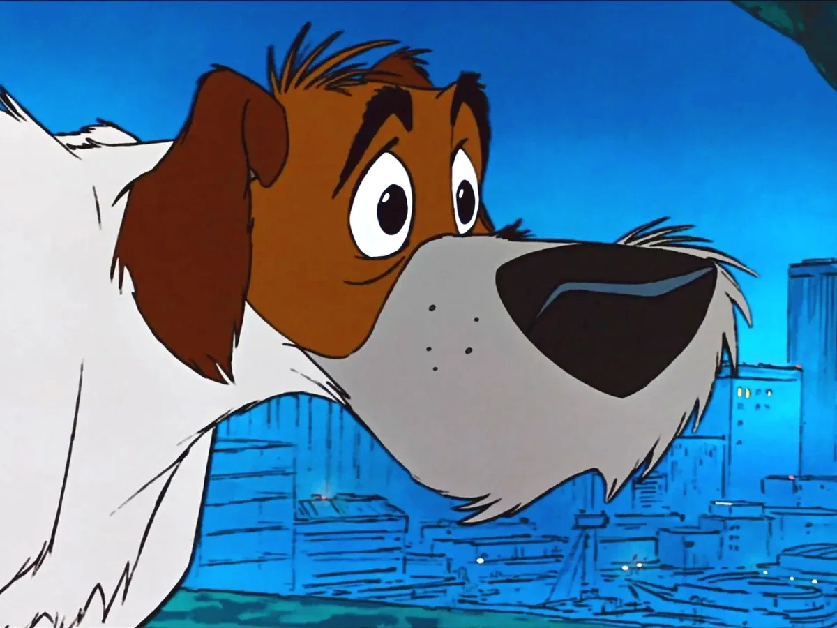 Avatar of Dodger