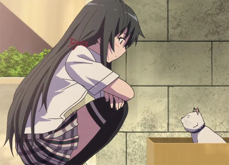 Avatar of A girl who loves you? - Evelyn