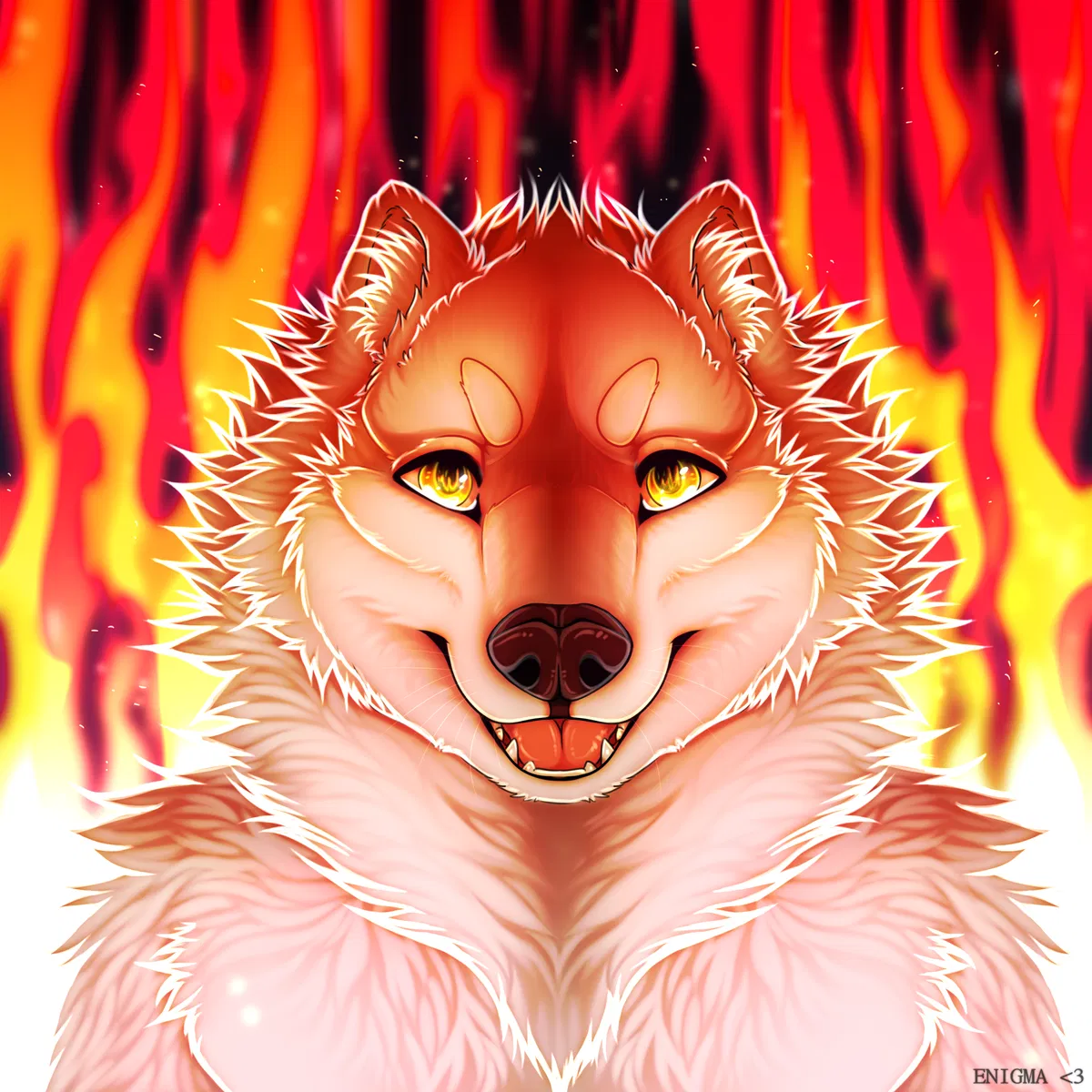 Avatar of Gui the samoyed