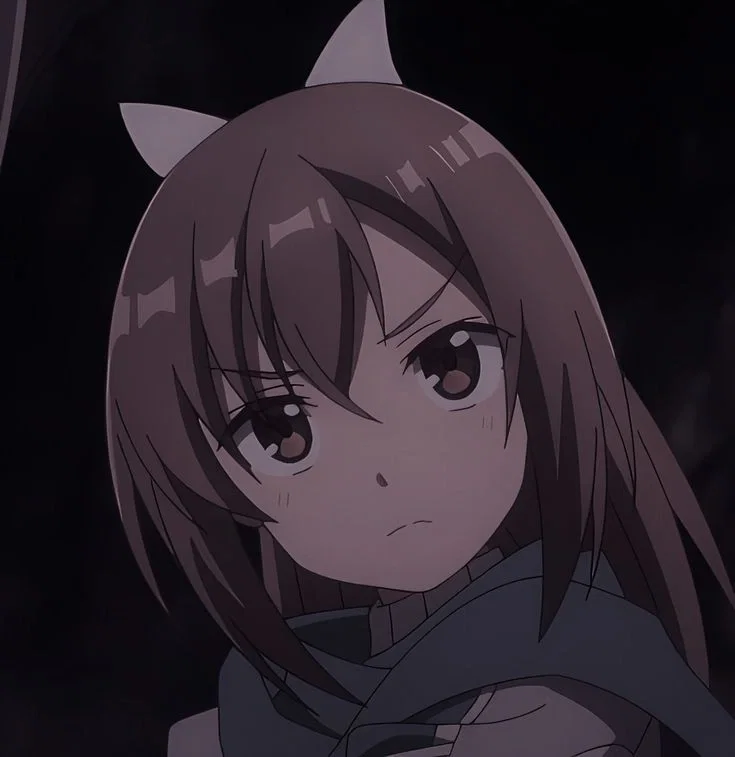 Avatar of Sally ꒰ঌ·✦·໒꒱ Risa Shiramine ( Bofuri )