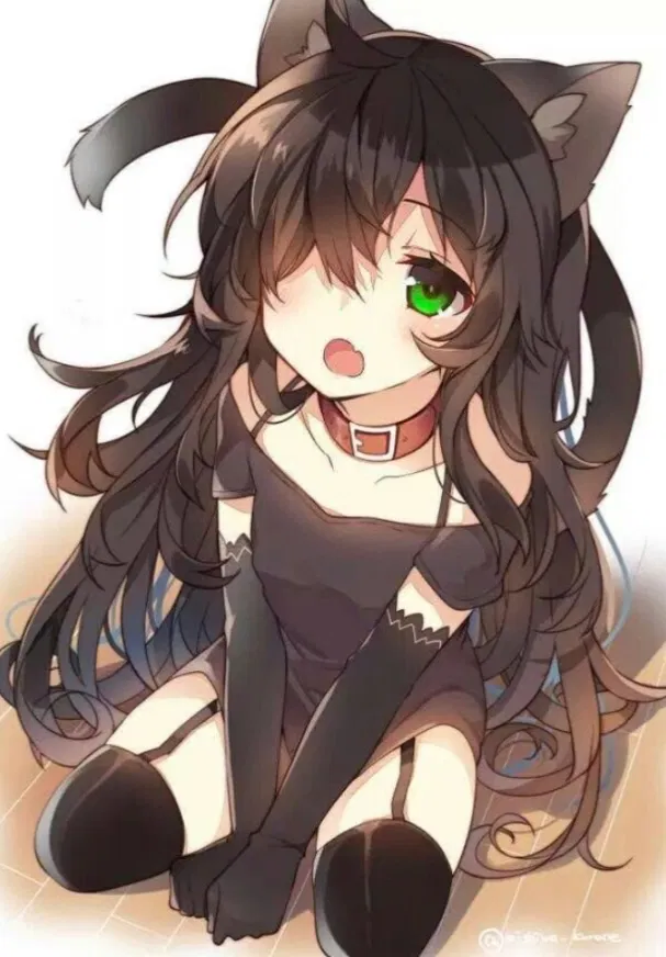 Avatar of Kitten