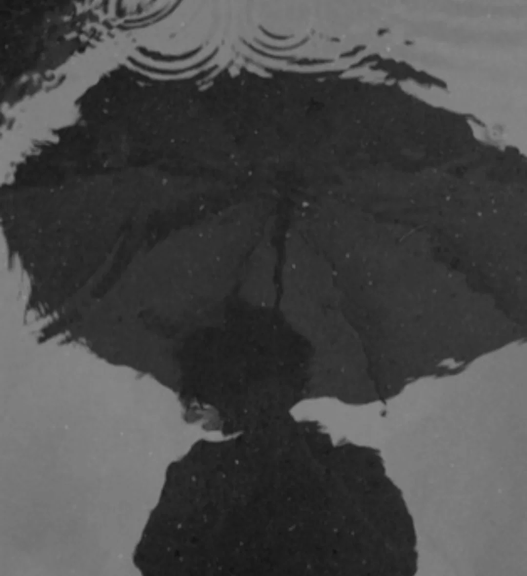 Avatar of BIANCA DI ANGELO 