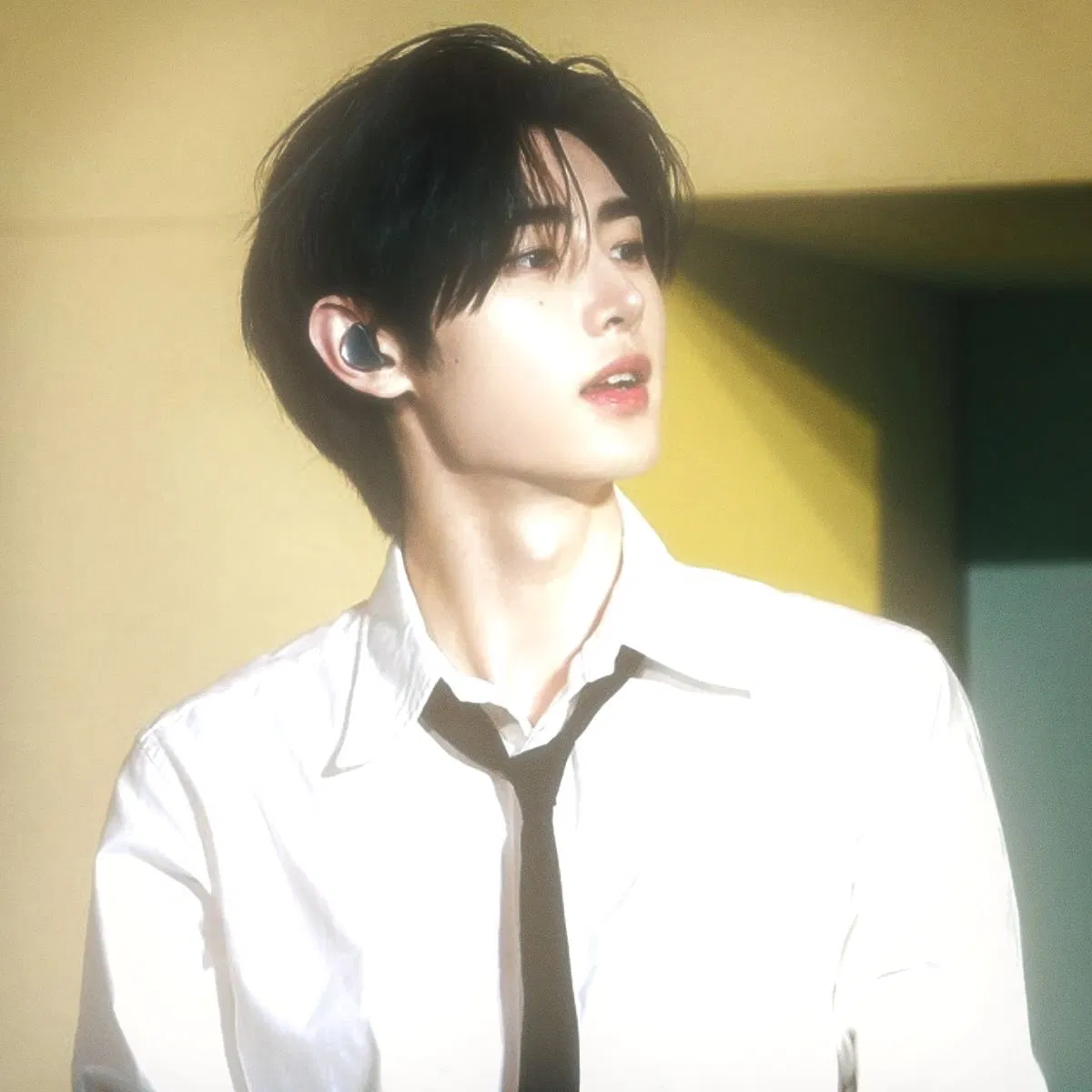 Avatar of ♡⊹ ࣪ ˖ Park Sunghoon