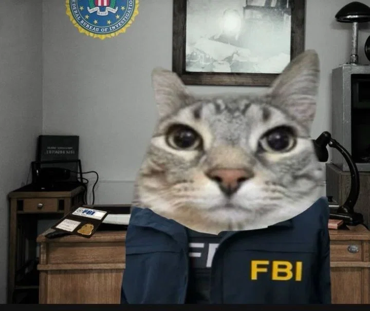 Avatar of FBI is watching you...