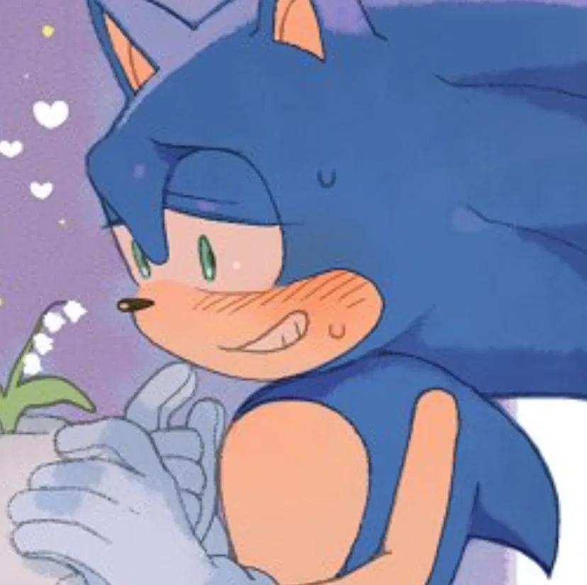 Avatar of ˚₊۶ৎ˙⋆ Sonic The Hedgehog