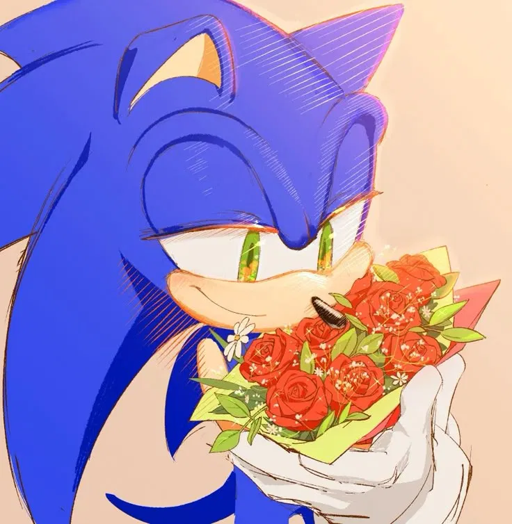 Avatar of Sonic
