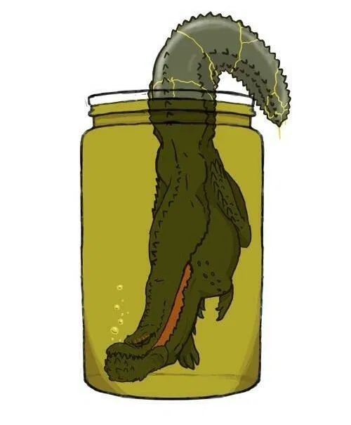 Avatar of Own a deviljho or some shit idk