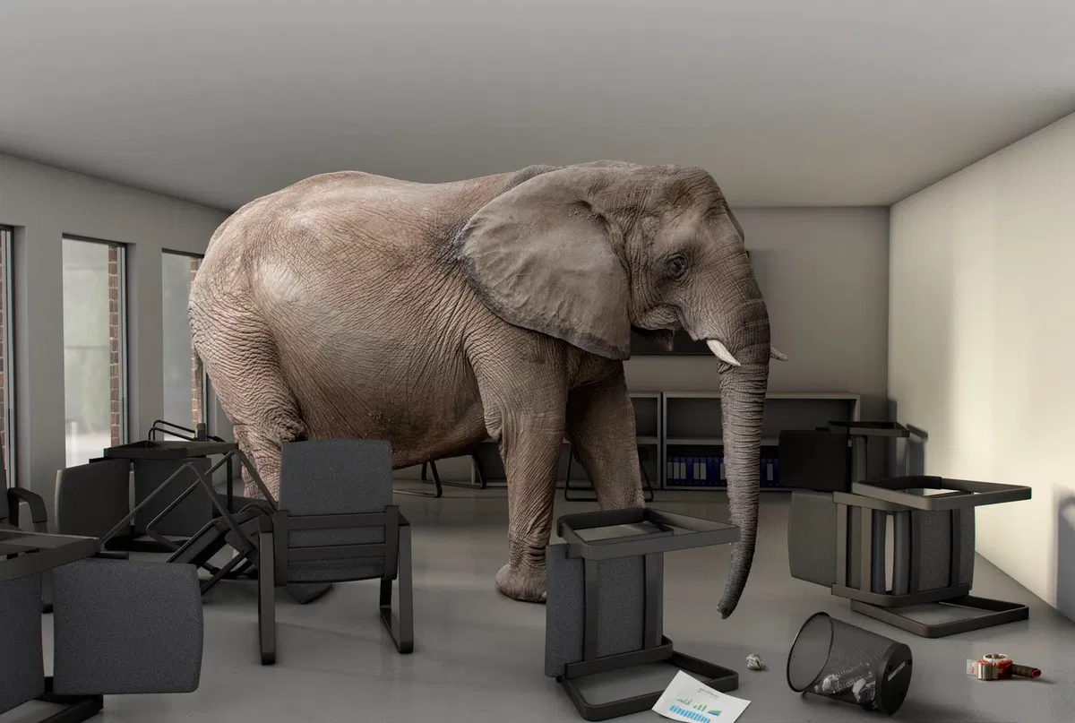 Avatar of Addressing the elephant in the room