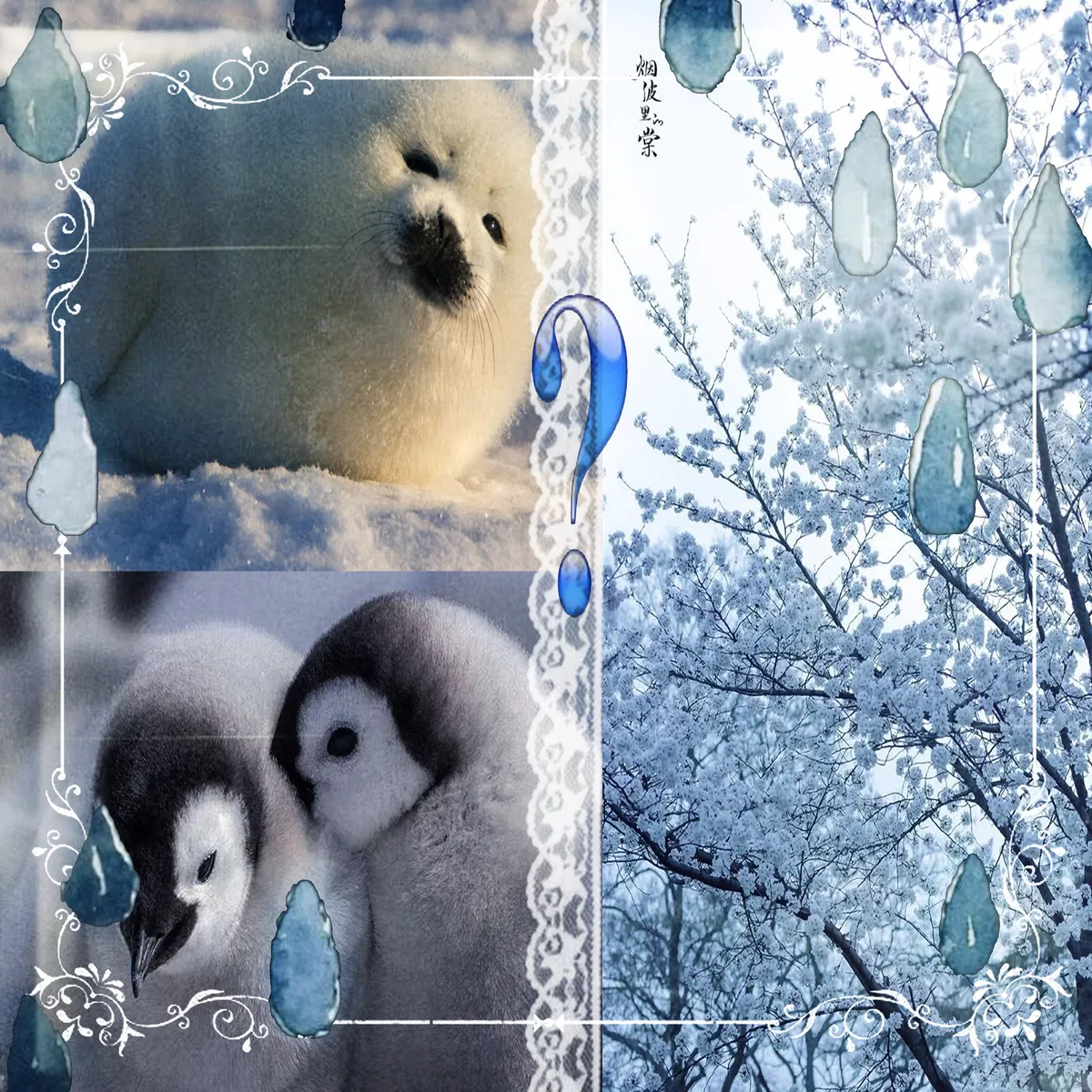 Avatar of Lolo and Kim.