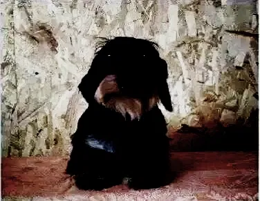 Avatar of Dog villain