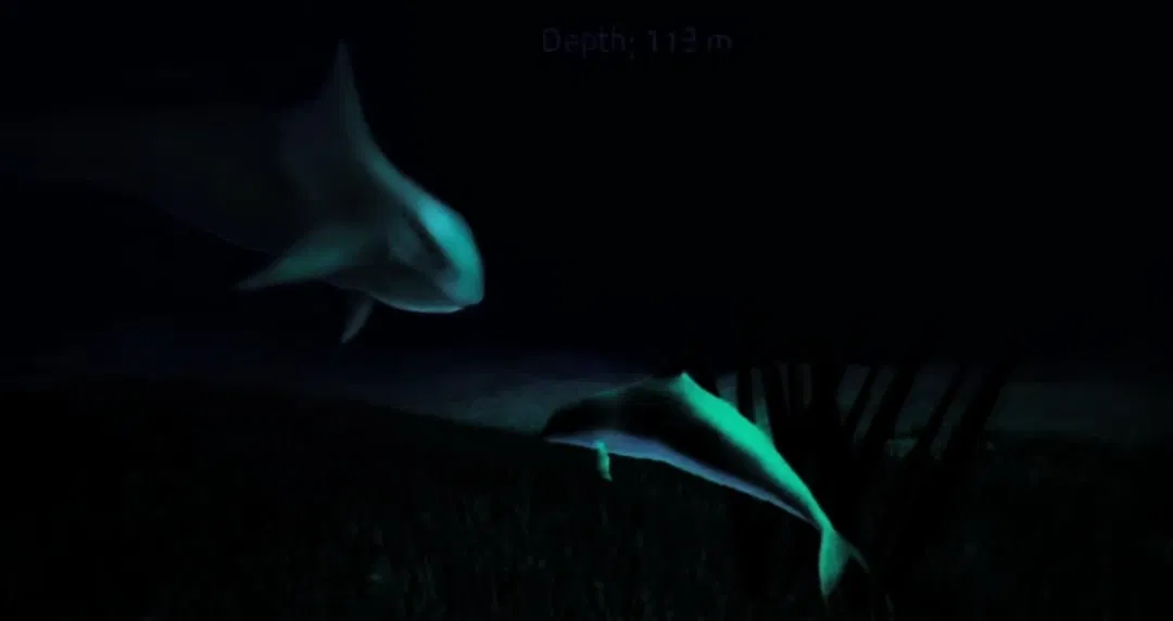 Avatar of The White Orca