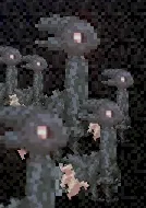 Avatar of The expies