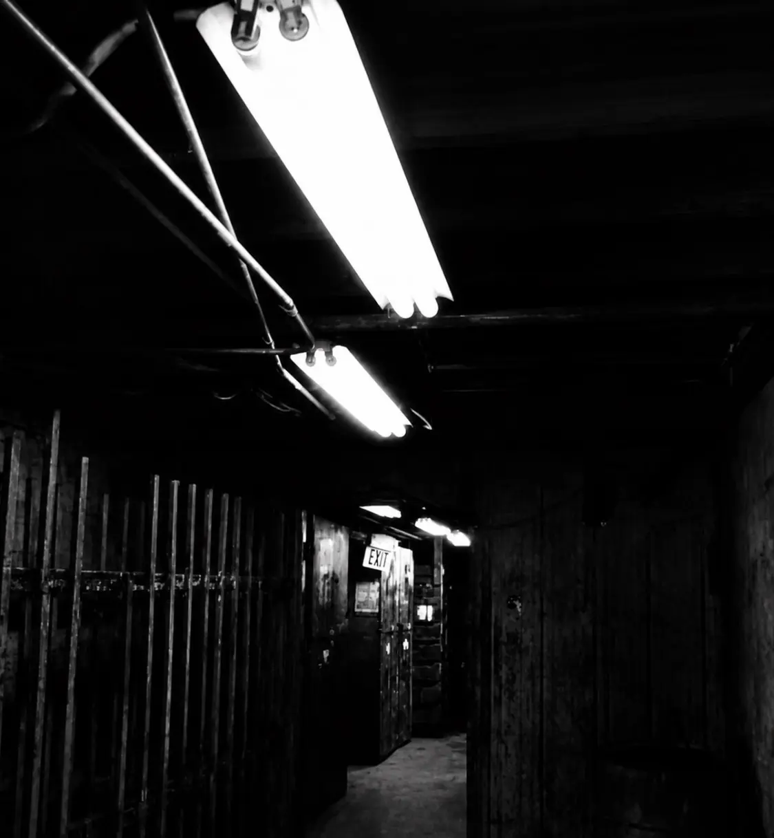 Avatar of Wilbur — Illegal underground’s 