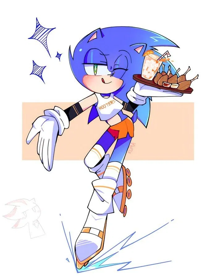 Avatar of Hooters waiter Sonic the hedgehog(Sonadow) 