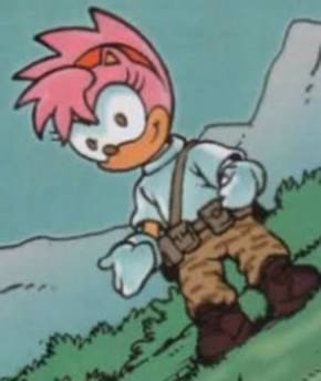 Avatar of Yandere Amy Rose