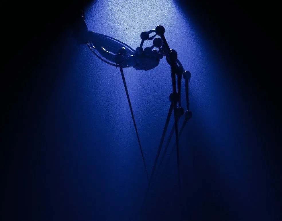 Avatar of The Prototype