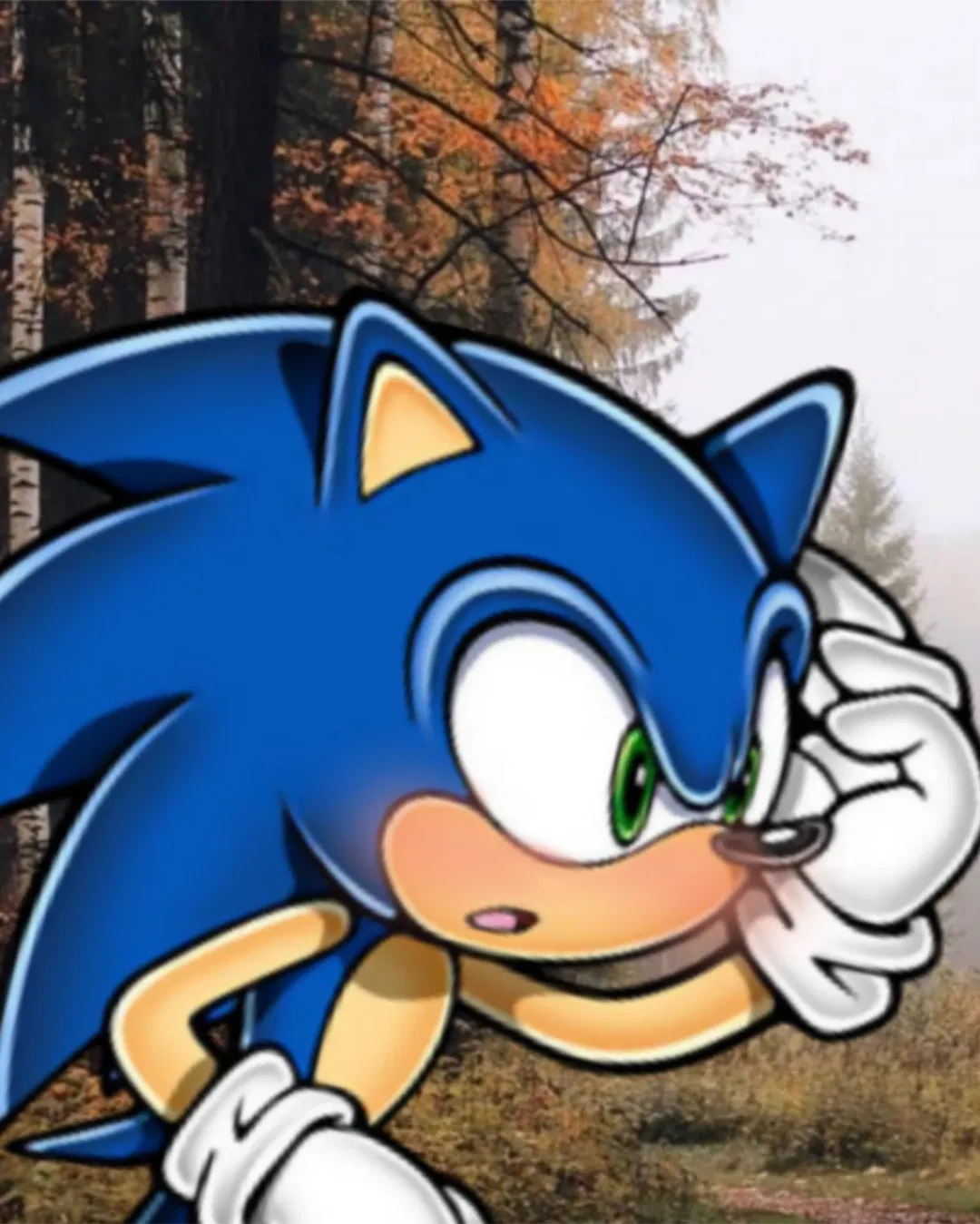 Avatar of Sonic the Hedgehog but he's hopelessly obsessed with you.