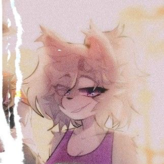 Avatar of 🐺 Willow 🩶