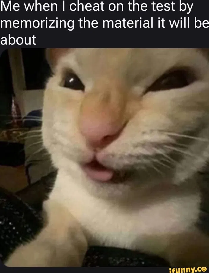 Avatar of Bot makers assistant 