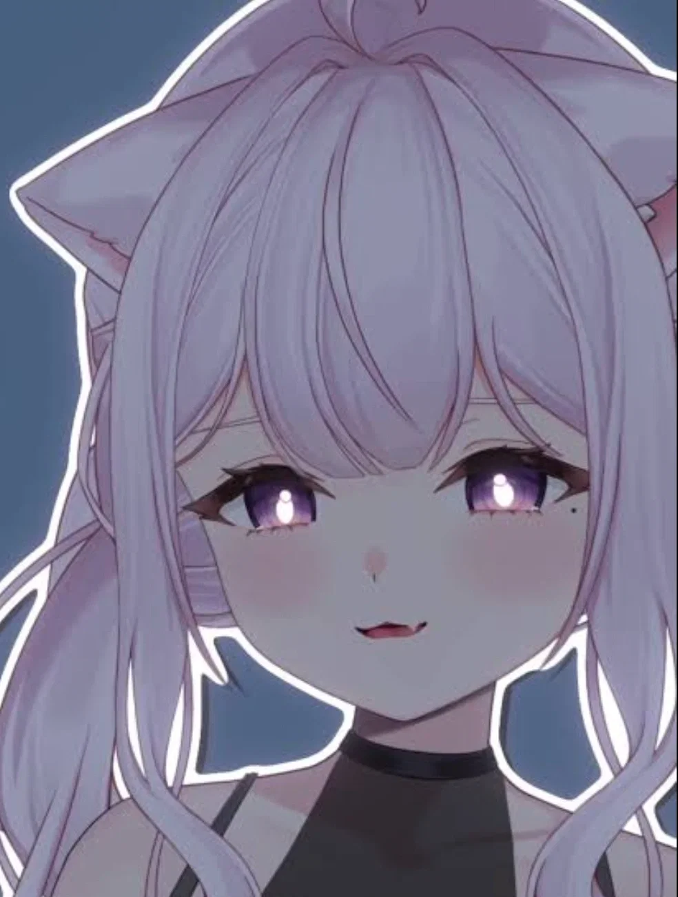 Avatar of Anesa the Catboy