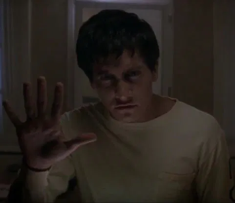 Avatar of Donnie Darko
