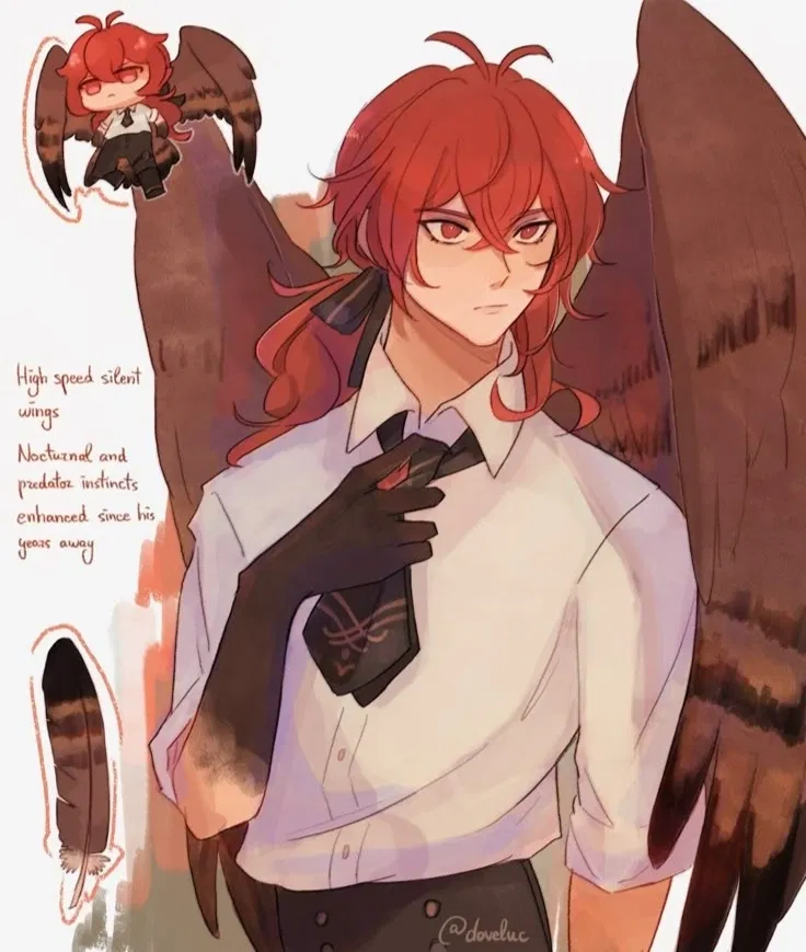 Avatar of Diluc Owl
