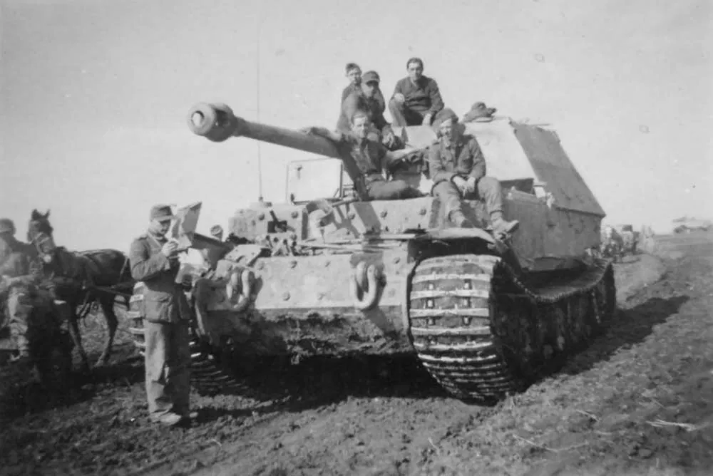 Avatar of Elefant 334 | Tank roleplay