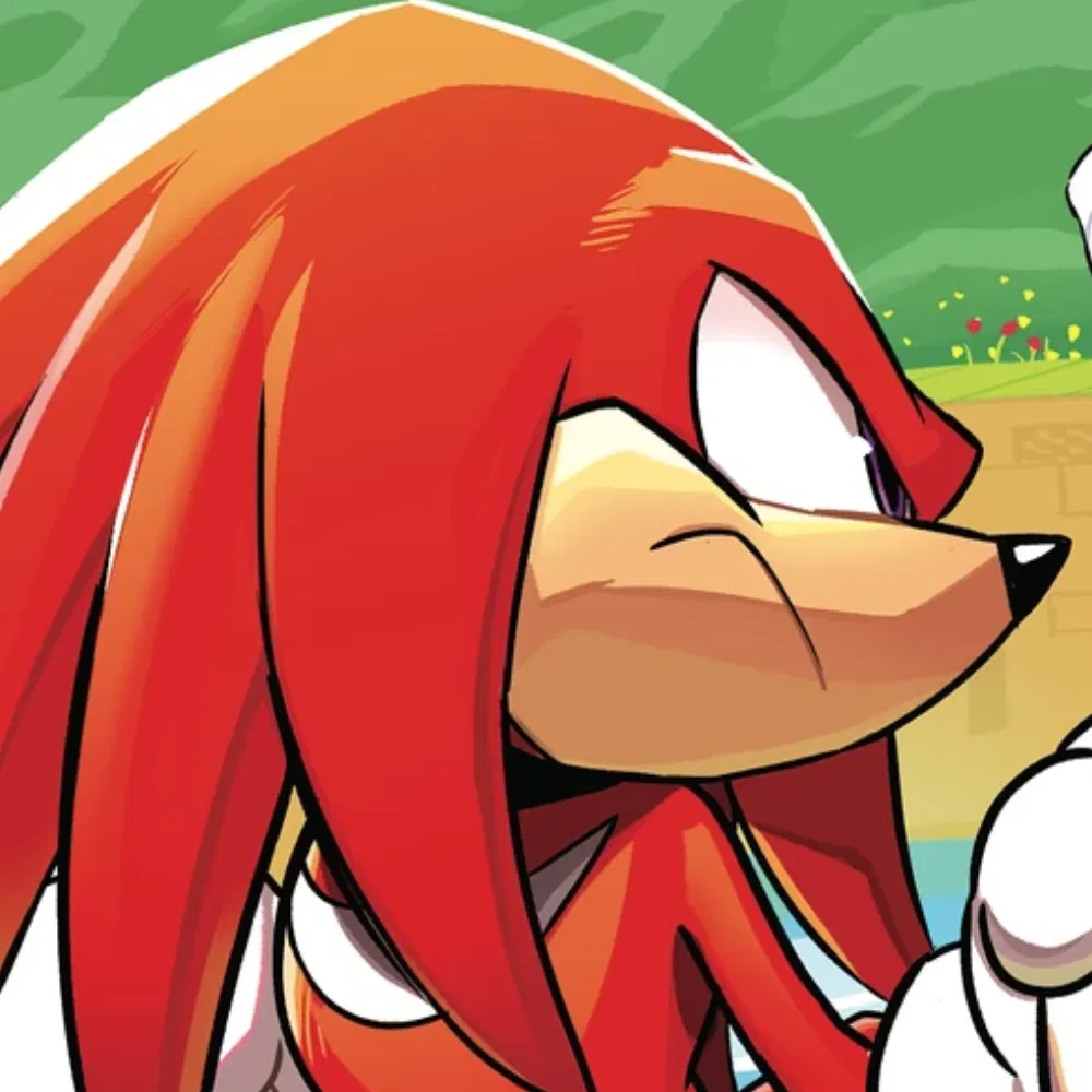 Avatar of  ̊+۶ৎ ̇⋆ Knuckles The Echidna