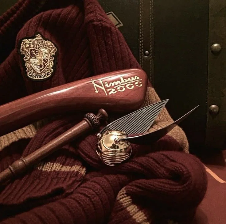 Avatar of Harry James Potter 